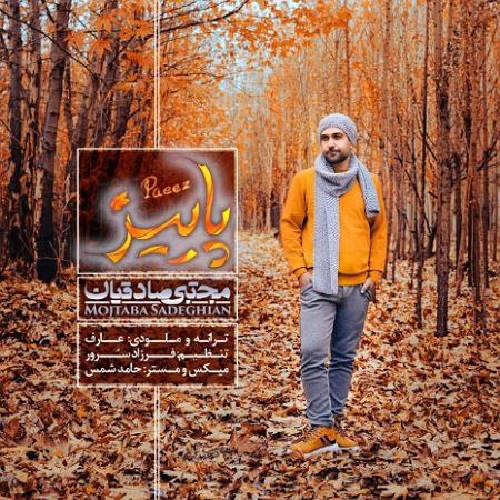 مجتبی صادقیان پاییز